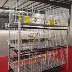 Hot selling chicken cage poultry equipment shed breeding cage