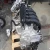 Import Hot selling used car truck engine from Japan from Japan