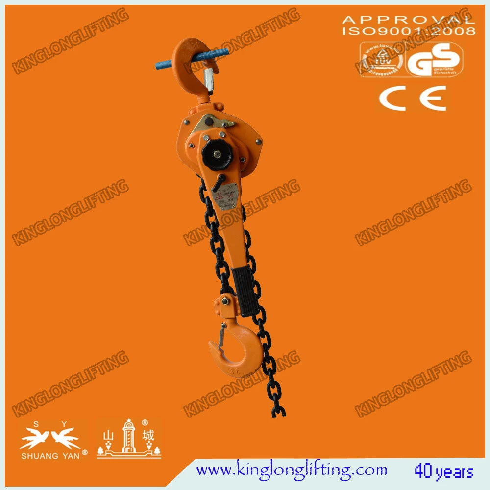 HSH A Series Crane Chain Hoist 3T*1.5M Factory Price CE GS Certifi.