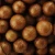 In Shell Macadamia Nuts grown in Australia 25 kilogram bags