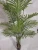 Import indoor outdoor artificial trees plastic faux plants from China