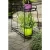Import Indoor/Outdoor 2-Tier Metal Flower Stand Plant Stand Rack w/Tray Design Garden and Home Black from China