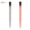 Ins Fashion New Design Ombre Highlight Clip In Hair Extension One Piece Highlights Clip Hair
