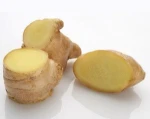 Instant water soluble dry ginger powder/organic ginger extract