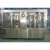 Import ISO certificated juice making and packaging machine from China