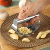 Kitchen Accessories Stainless Steel Garlic Press Chili And Ginger Crusher Vegetable Cutter