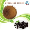 LanBing supply high quality dried grape seed grapeseed extract opc grape seed extract