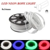 LED RGB Neon Rope Lights  Multicolor Dimmable Neon Light Strips with remote control