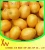 Import lemon fruit from China