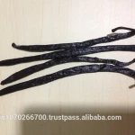 Madagascar Vanilla Beans