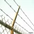 Import made in China hot dipped galvanized barbed iron wire from China