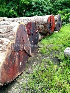 Malaysia Merbau Wood Sawn Timber