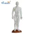 Import Medical Science Supplies Whole  Acupuncture Human Body Model from China
