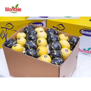 Montale Fresh Lime &amp; Fresh Lemon Best Price And Good Quality Grade AB