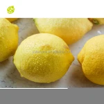 Montale Wholesale Lemon Fresh Lemon Fruit Yellow  Eureka Lemons