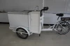Multi-functional Mobile refrigerator and freezers ice cream cart electric rickshaw mobile fast food cargo tricycle van tuk tuk