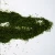 Import N02 40-60mesh Dried Gelidium Seaweed green seaweed powder from China