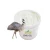 Import Natural Animal Carrier oils Manufacturer, Therapeutic Grade Pure Ostrich Emu oil for Foot Skin Body Joint Muscle from China