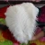 Import natural factory wholesale Decorative large Ostrich feather Plume for Carnival Halloween Party Wedding from China