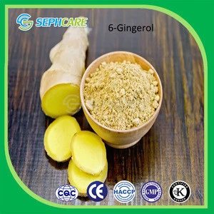 Natural plant extract 6-gingerol hot sell factory supply dry ginger extract powder