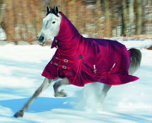 New arrival winter turnout horse rug for equestrian sport