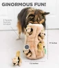 New creative - Outward Hound Hide-A-Squirrel and Puzzle Plush Squeaking Toys for Dogs