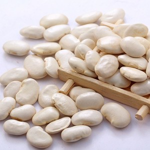 New crop large white kidney beans