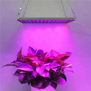 New Design High Quality 45w Panel Led Grow Light ,Specialized in Seeding