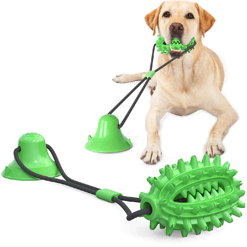 New pet products Amazon hot selling interactive cleaning single suction cup cactus molar rod dog chew toy