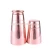 Import New Stainless Steel Mirror Boston Cocktail Shaker Set Bar Tool-28oz &amp; 18oz from China