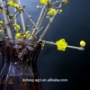 New year fresh cut branches plume blossom for home decoration