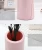 Import Nordic Decorative Ornaments Fall Resistant Tall Plastic Flower Vase Decor Plastic Vases For Floral Arrangements from China