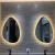 Import Norhs Professional Popular Design LED Lighting Custom irregular shape smart Bathroom Art Mirror from China