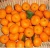 Import November Sugar Mandarin Orange from China
