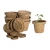Import Nursery Coir Pots Exporters from India from India