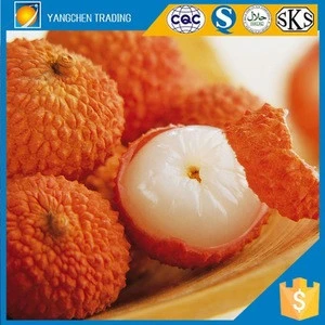 Oem food all kinds of fruits canned lychee green food