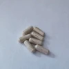 OEM Natto & Ginkgo Biloba Extract Capsule 1000 mg