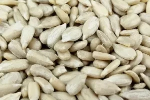 Office Snack Healthy Nutrition Nuts Food Sunflower Seeds Kernels