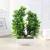 Import Outdoor and Indoor Decoration Plastic Trees Artificial Treeand Artificial Plant from China