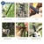 Import Outdoor wilderness survival tool Alloy vehicle tactical self-defense folding canes Tactical walking stick from China