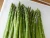 Import Peru Grown Green Vegetables Asparagus BUNCH Robinson Fresh MOQ 11 Lbs Quick Delivery in US from USA
