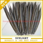 pheasant feather factory supply natural pheasant feather for carnival or flower decoration