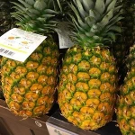 Pineapples Fresh Pineapples