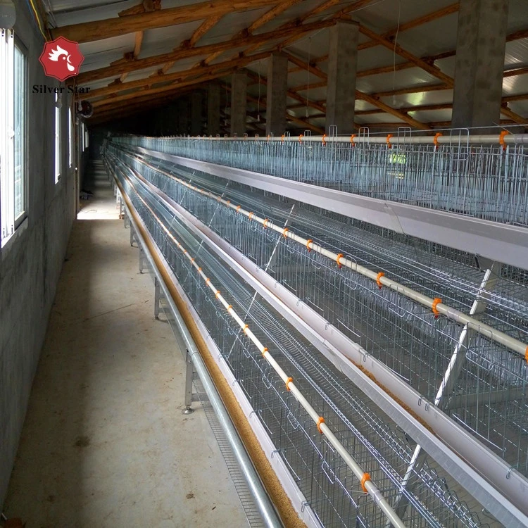 Poultry farm used a type ladder laying hen chicken cages with egg collection system/machine