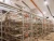 Import POULTRY HELPER poultry cages for layer chickens for 10000 birds with conveyor belt for farm from China