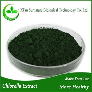 Powder form Chlorella /broken cell wall Chlorella produced, USDA EU certified organic superfood