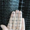 PP plastic square mesh extruded bird net