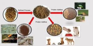 Premium grade animal feed wheat bran for sale best price