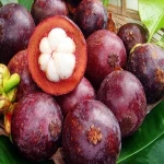 Premium Grade Export Fresh Mangosteen for sale