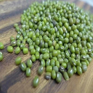 Premium  Green Mung Beans for sale